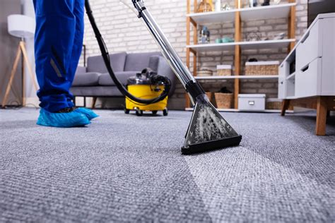 Everything You Need to Know About House Cleaning and Carpet Cleaning Today