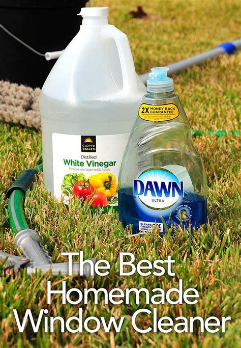 The Complete Guide to Choosing the Right Exterior House Cleaner