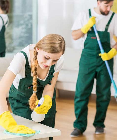 The Complete Guide to Choosing the Right House Cleaning Pro